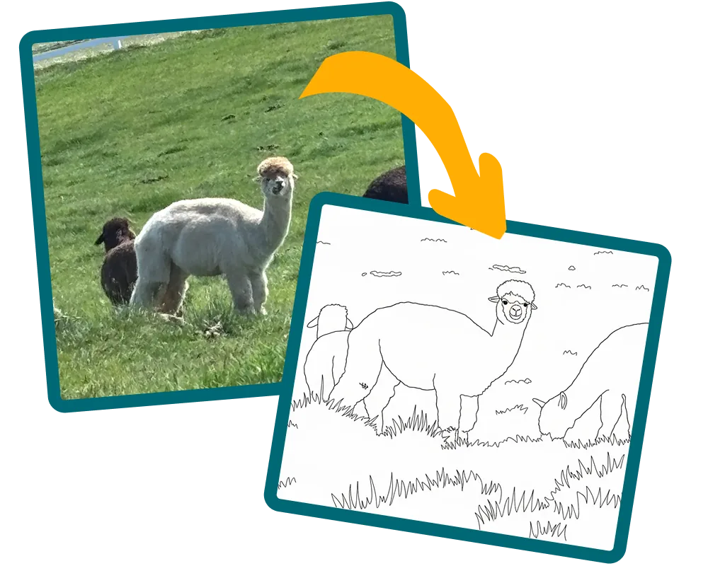 A photo of an alpaca next to the coloring sheet GlueStick makes from it